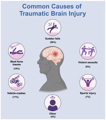 Exploring the biological basis of acupuncture treatment for traumatic brain injury: a review of evidence from animal models